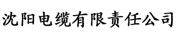 香瓜视频app电缆厂logo